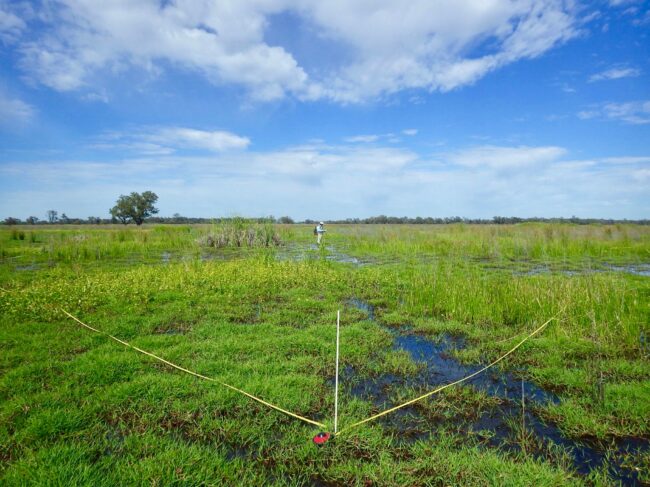 Bunnor 1-2 from NE cnr