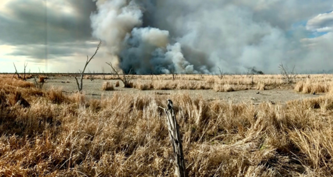 Featured Image Web Temp (1)