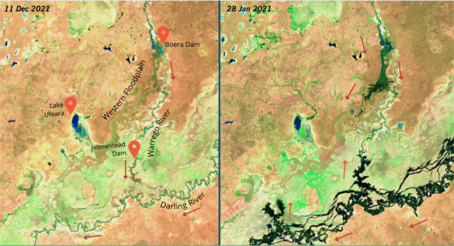 Screen Shot 2022-02-07 at 9.11.09 am