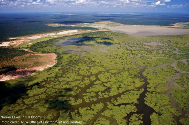 Screen Shot 2022-03-10 at 12.08.19 pm