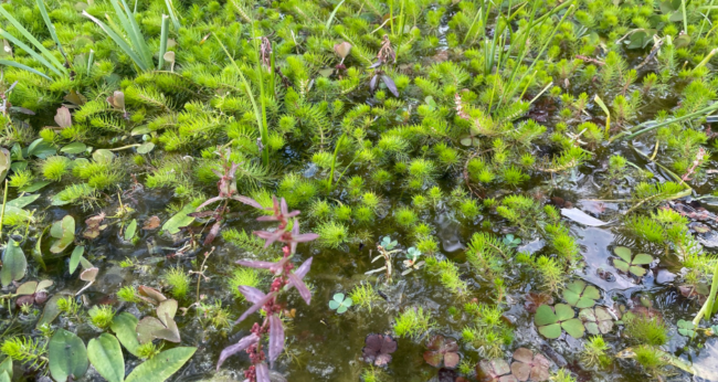 Featured Image Web Temp (10)