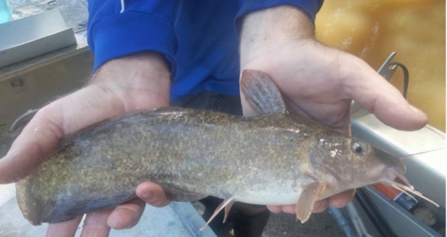 Featured Image Web Temp (9)