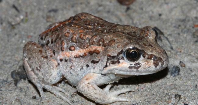 Featured Image Web Temp (12)