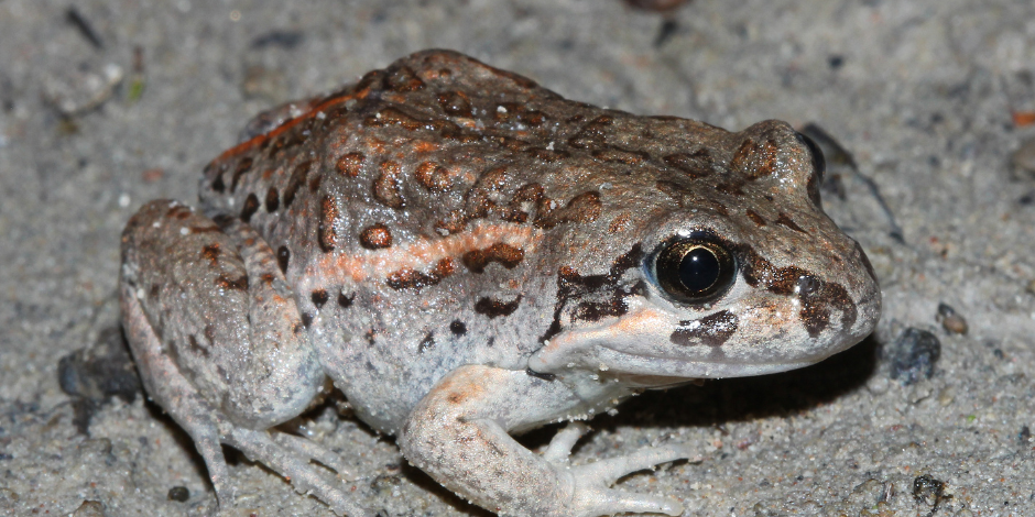 Featured Image Web Temp (12)