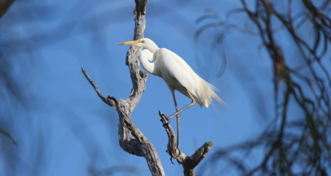 Featured Image Web Temp (13)