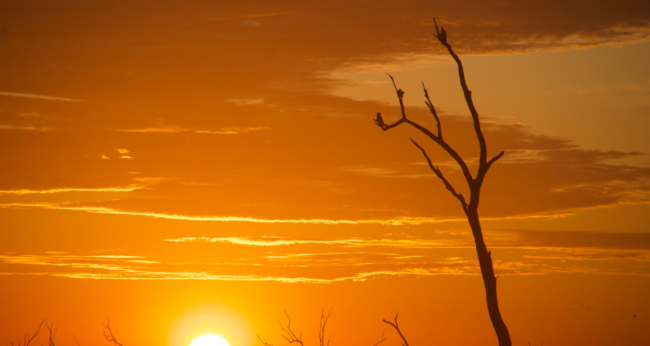 Featured Image Web Temp (18)