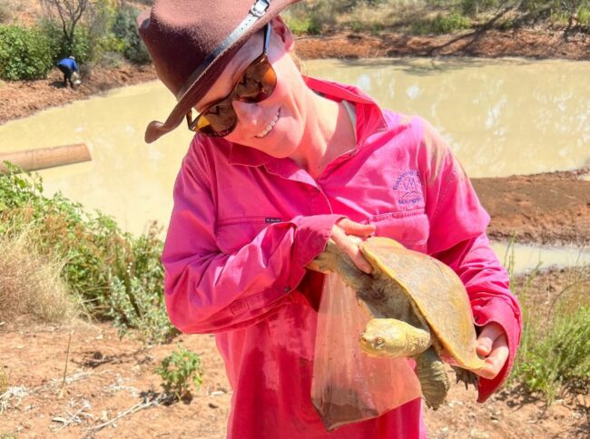 Deb Bower holding a Murray River turtle Deb Bower holding a Murray River turtle.