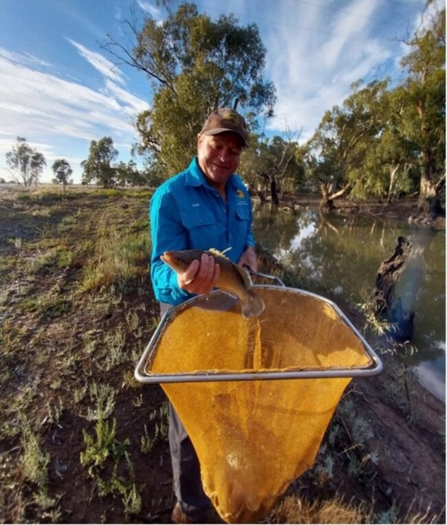 Roger Knight with Murray cod